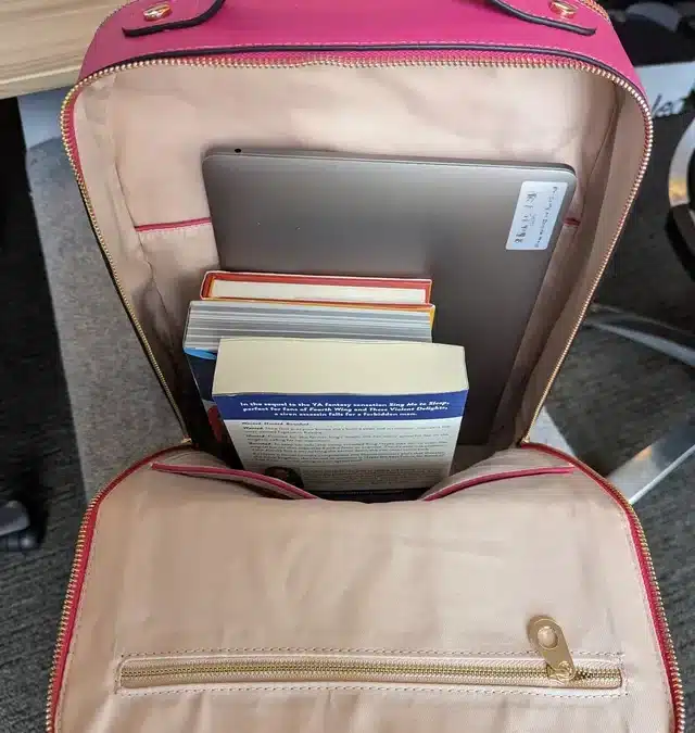 Backpack Safety: A Review of Best Backpacks 2024